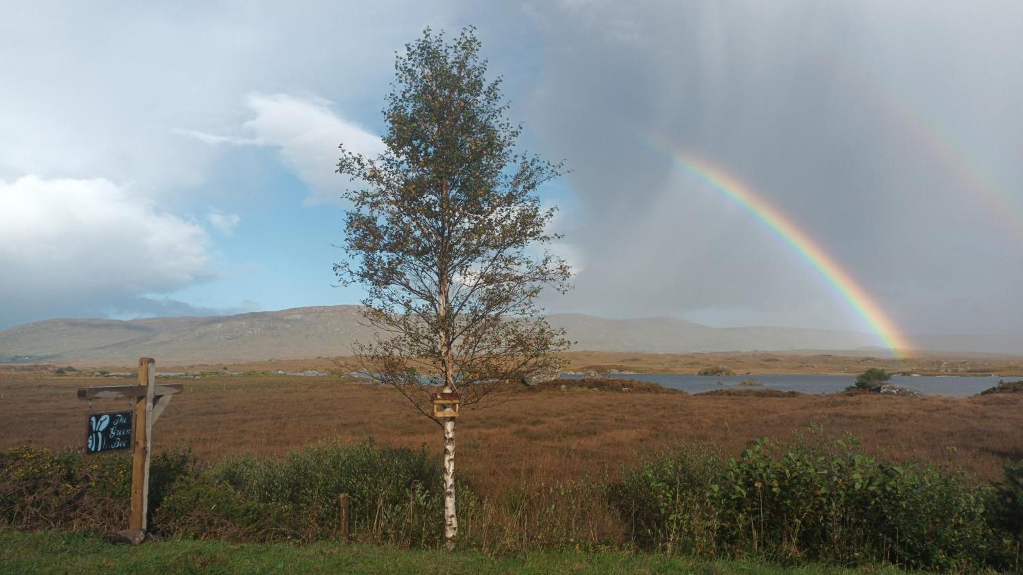 Connemara Lake View Apartment Camus Eighter Εξωτερικό φωτογραφία