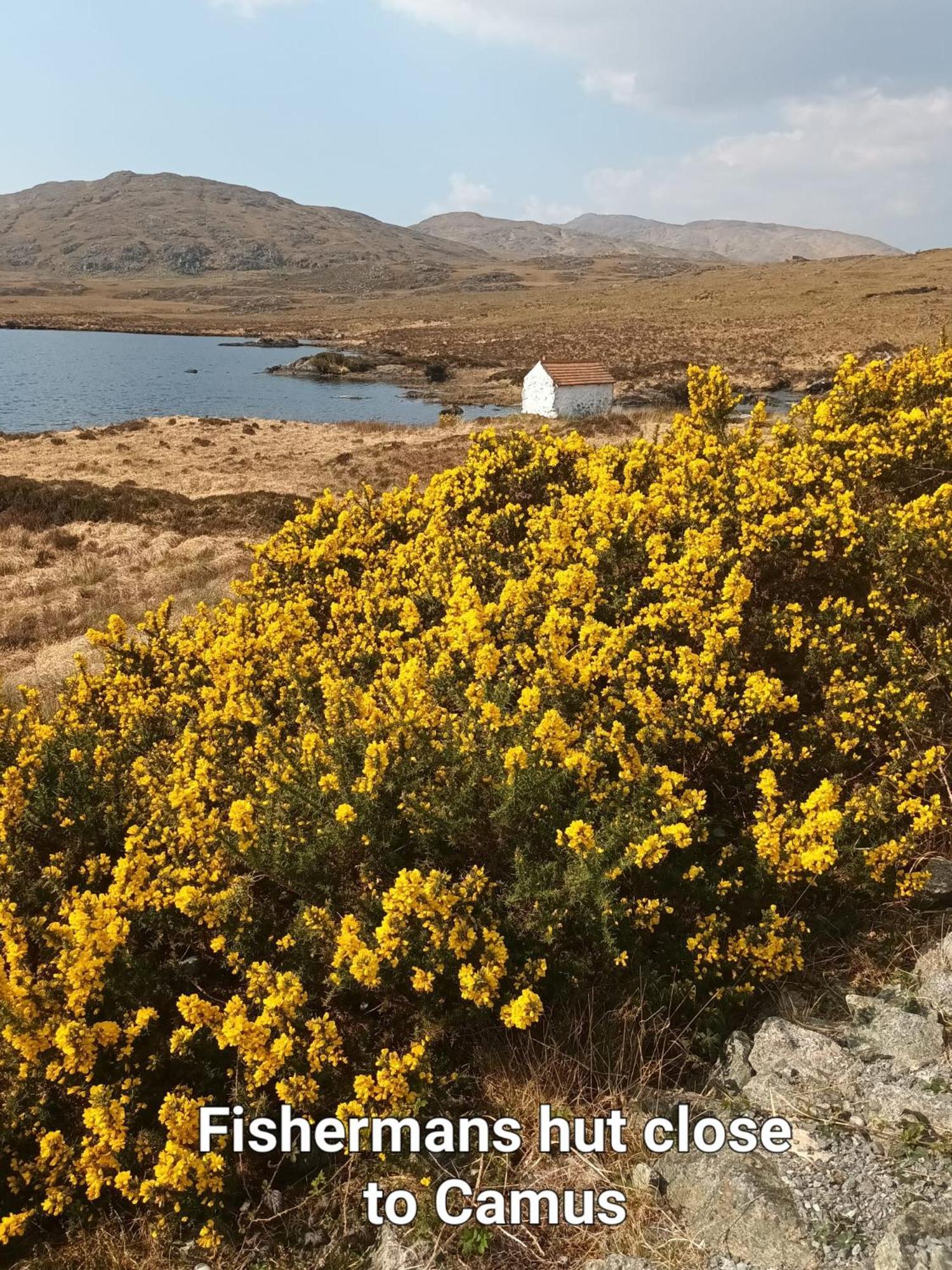 Connemara Lake View Apartment Camus Eighter Εξωτερικό φωτογραφία